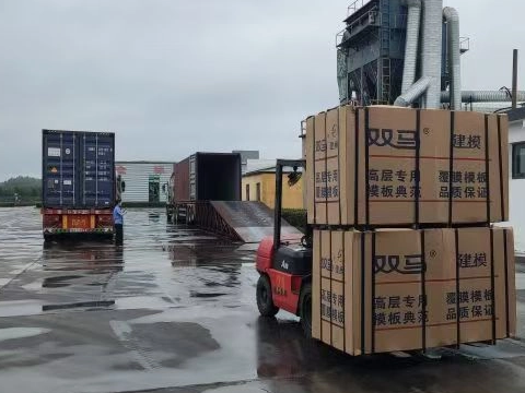 Héros invisible de la construction: analyse complète de la valeur et de l'application du coffrage du bois